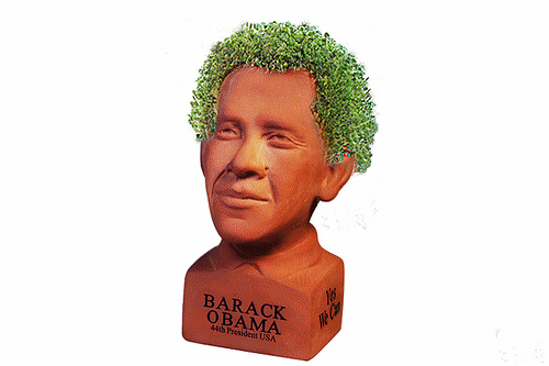 Barack Obama Chia