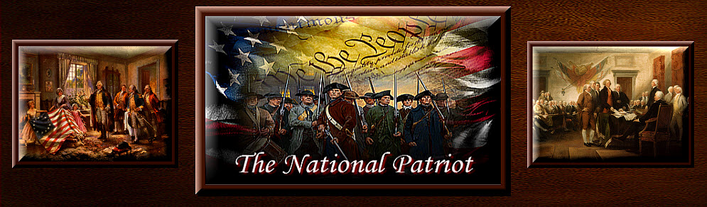 thenationalpatriot.com