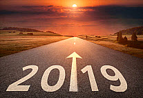 2019-1.jpg?width=207